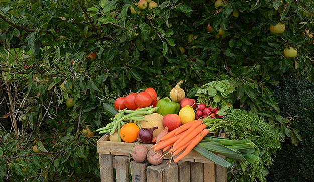 Groente & fruit Groente & fruit