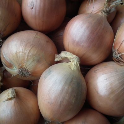Grote uien