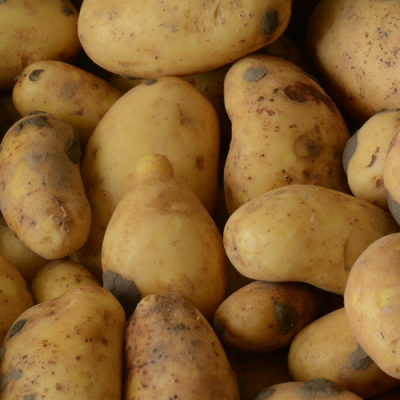 Goldmarie aardappelen