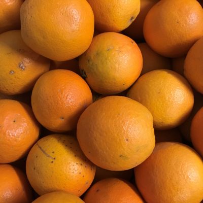 Biologische perssinaasappelen 