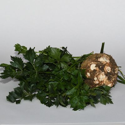 Knolselderij met met blad