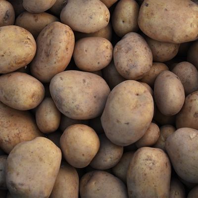 Alpha Malta aardappel