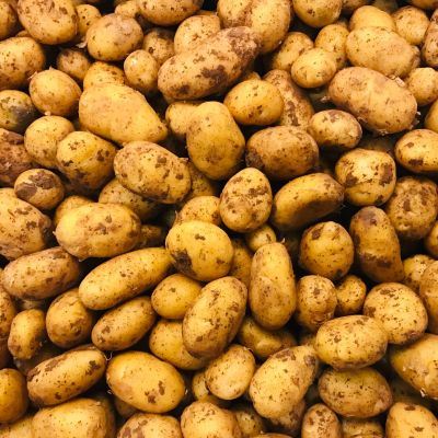 Krieltjes en poters