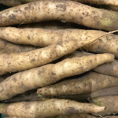 Bio peen wit nieuwe oogst