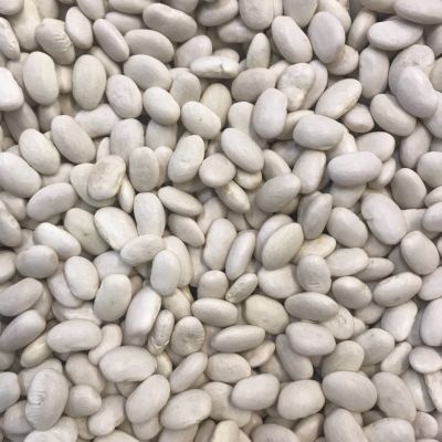 Bio Witte bonen