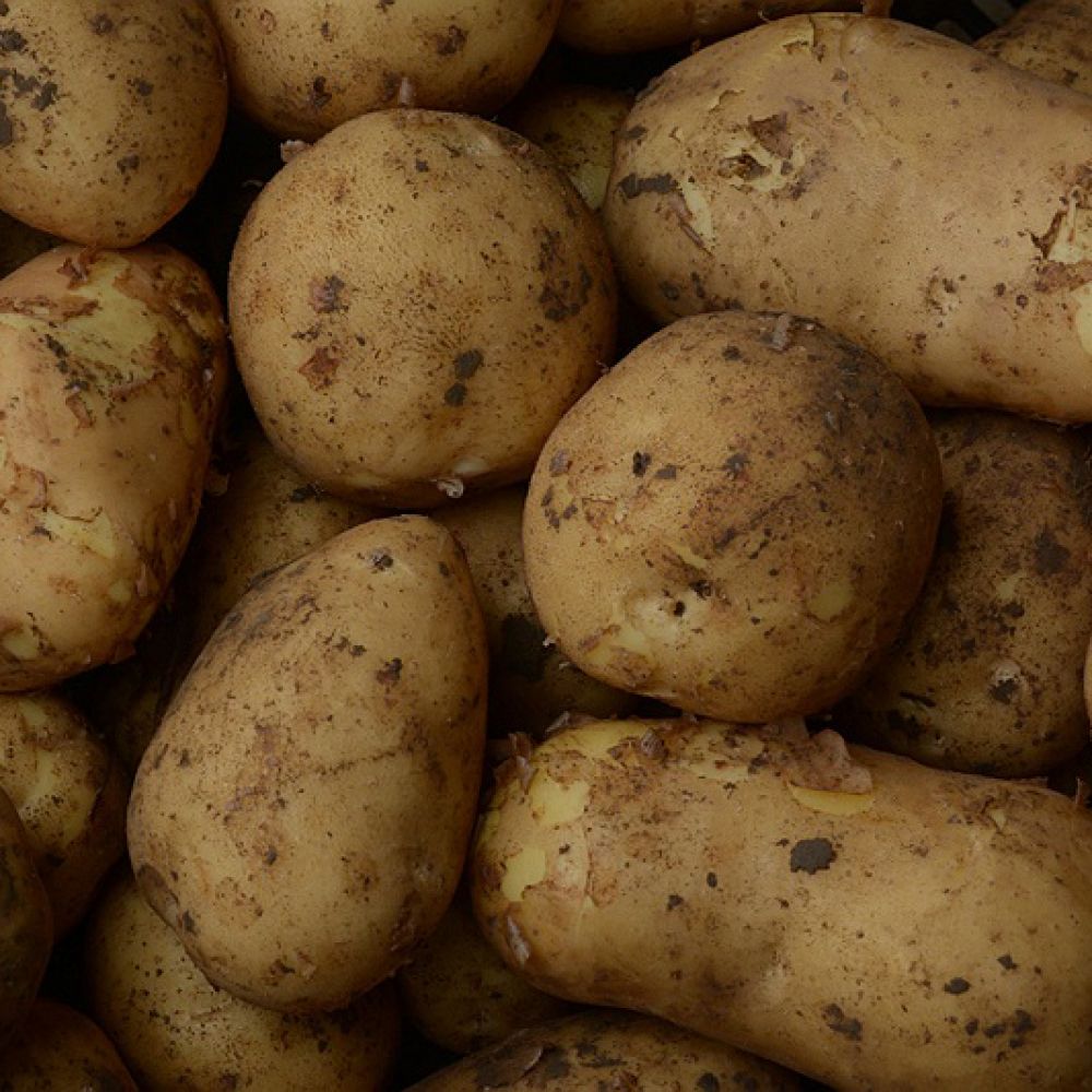 Ramos aardappelen