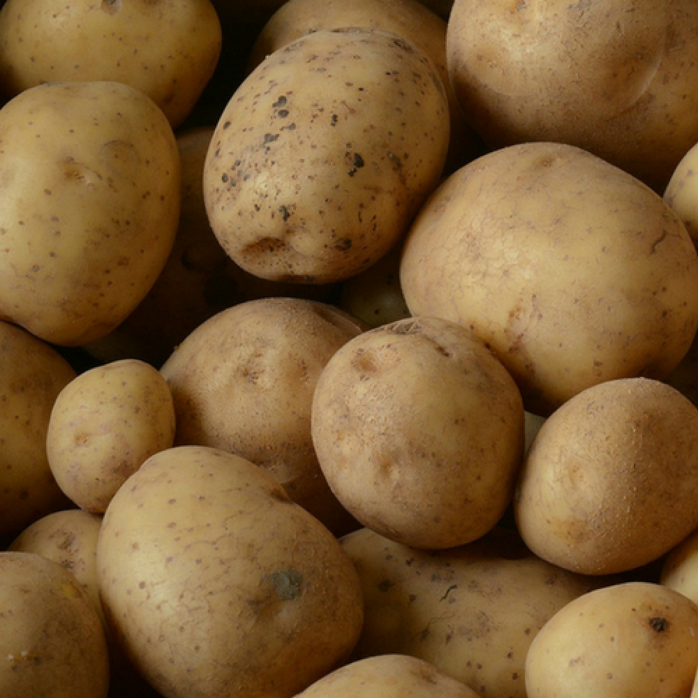 Solist aardappelen