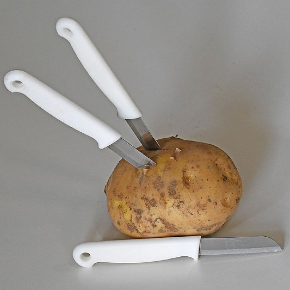 De volgende hoeveelheid verkoop Twinkelen Aardappelschilmesje 2 stuks kopen | Aardappelenbezorgen.nl