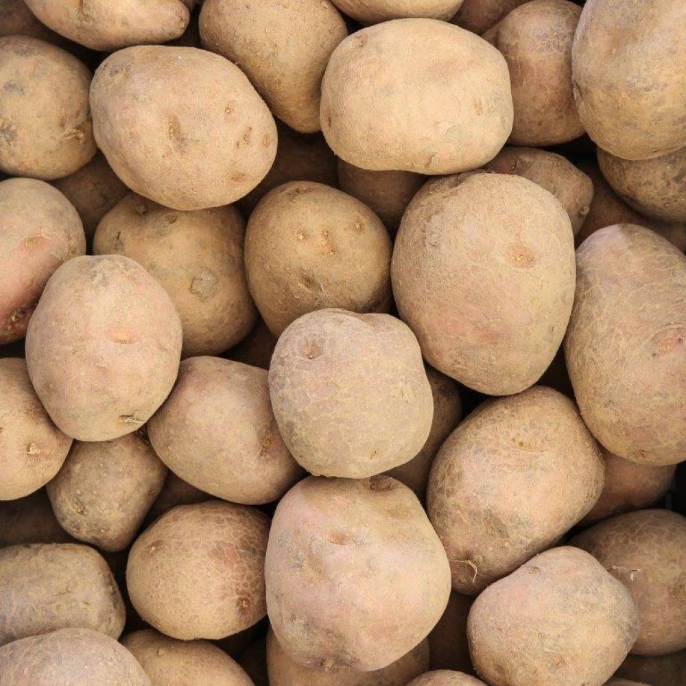 Irene aardappelen