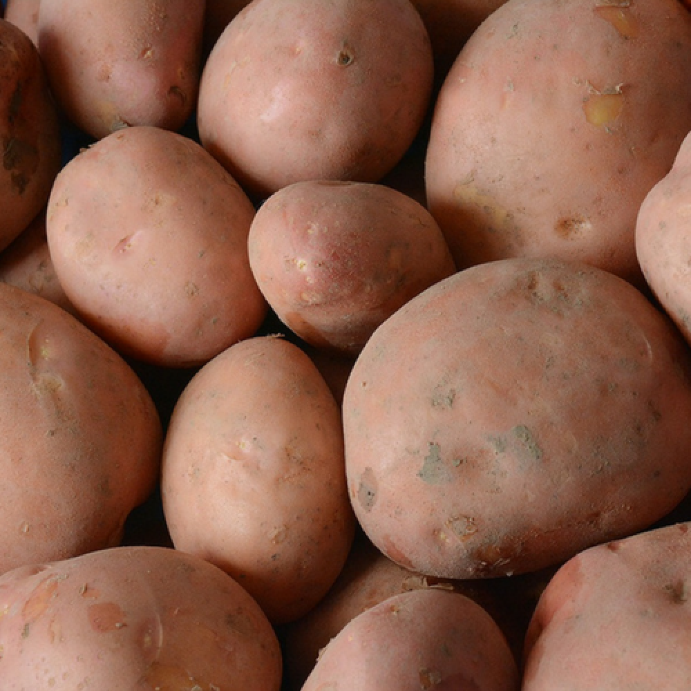 Menopper® aardappelen