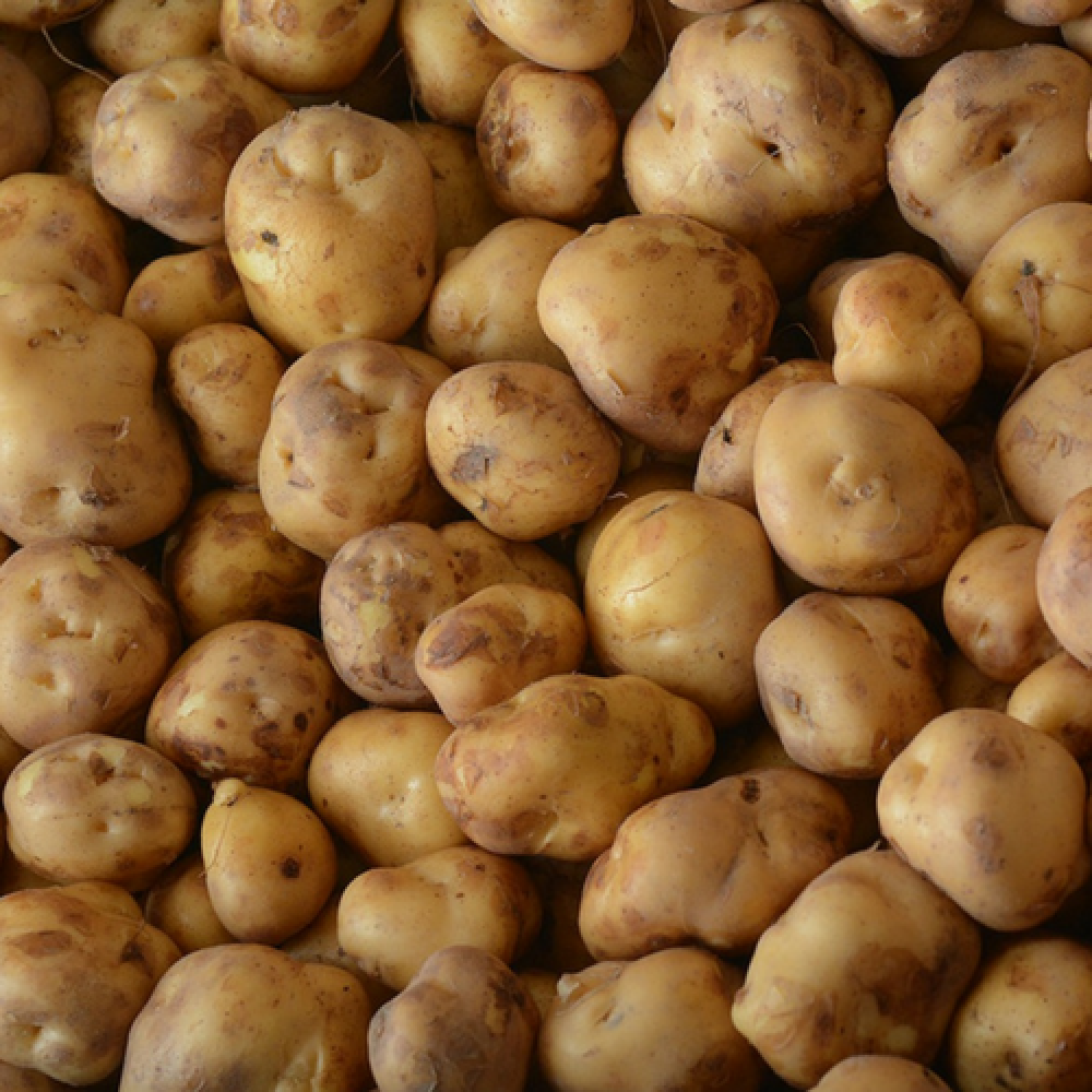 Opperdoezer aardappelen
