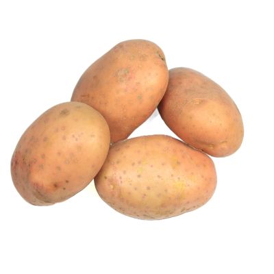 Griller potato ( 4 stuks ) 