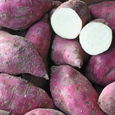 Zoete aardappel rood / wit