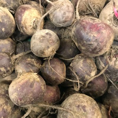 Biologische Bieten nieuwe oogst