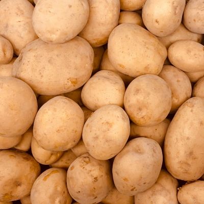 Sante Malta NIEUWE OOGST 2026