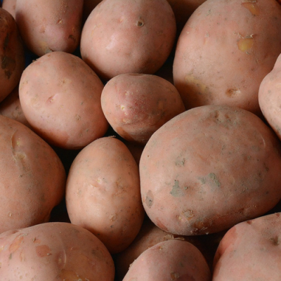 Menopper® aardappelen