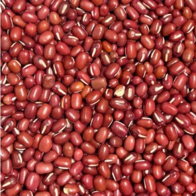 Adzuki beans bio