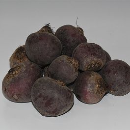 Bietet Bietet
