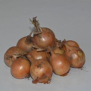 Biologische uien