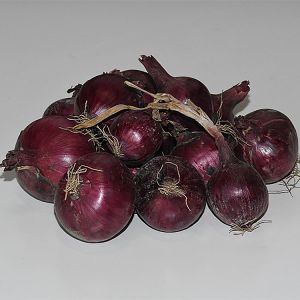 Biologische rode uien
