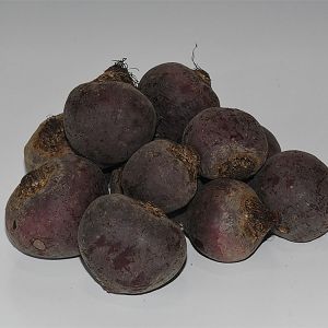 Biologische rode bieten