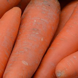 Winterpeen